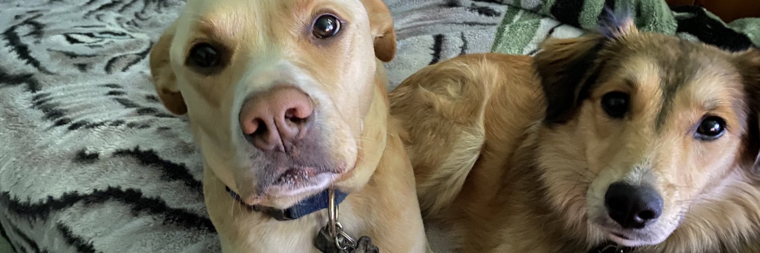 Kendal Cowgill banner