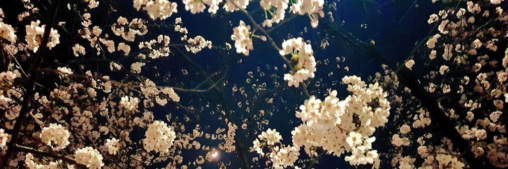 javi ☁️ banner