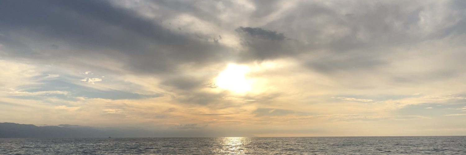 jayceesue55's profile banner image