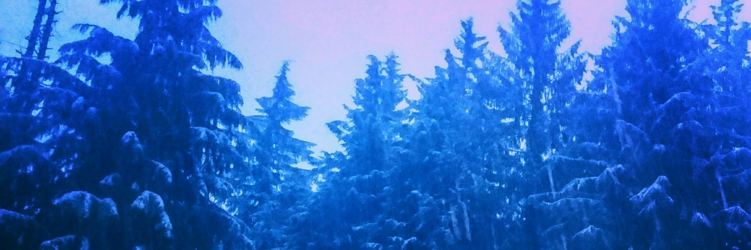 4Fan_Fishfan's profile banner image