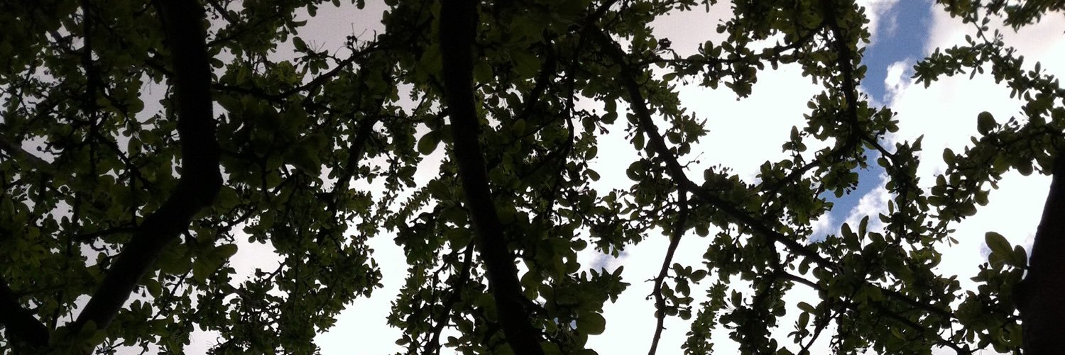 samrof93's profile banner image