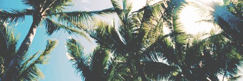 wcwie's profile banner image