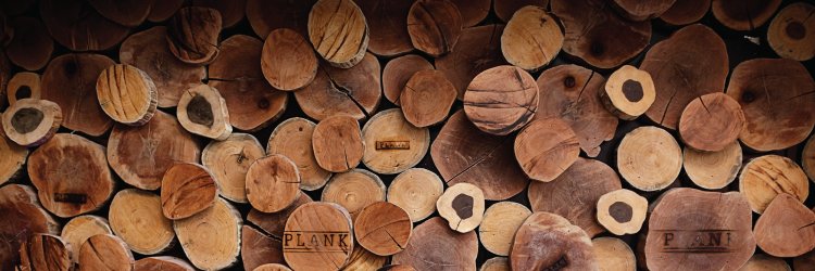 PLANKplaya's profile banner image