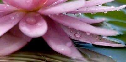 JandiPolis_2's profile banner image