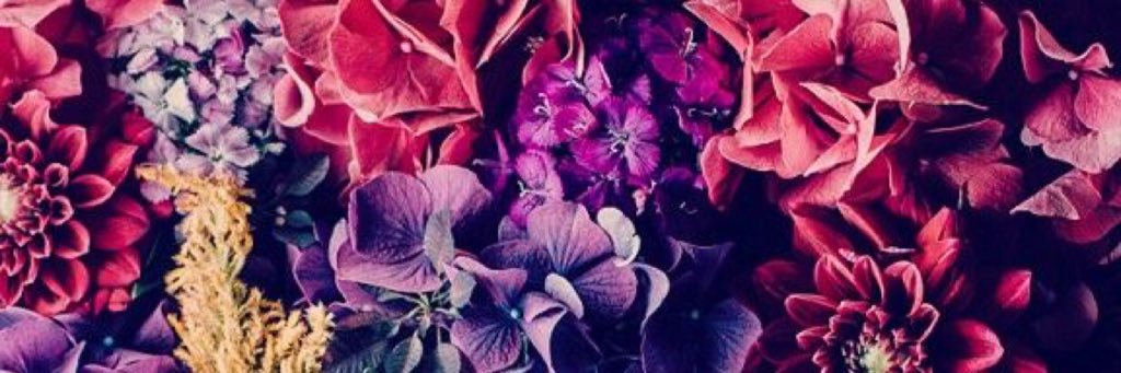 MyOleander's profile banner image