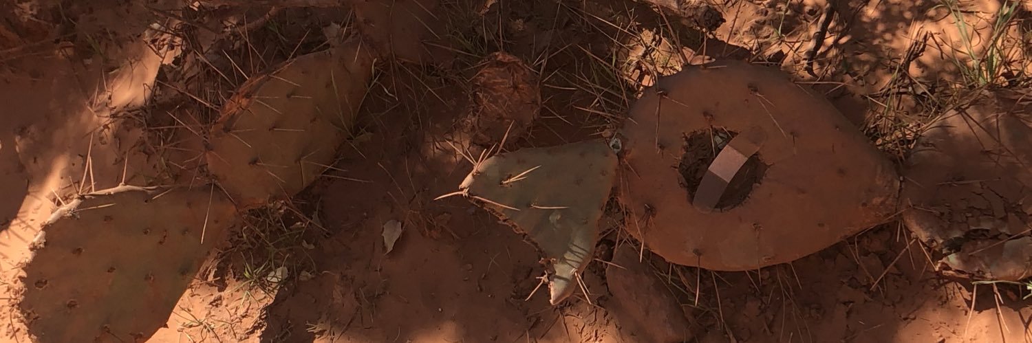 taylorbelyea's profile banner image