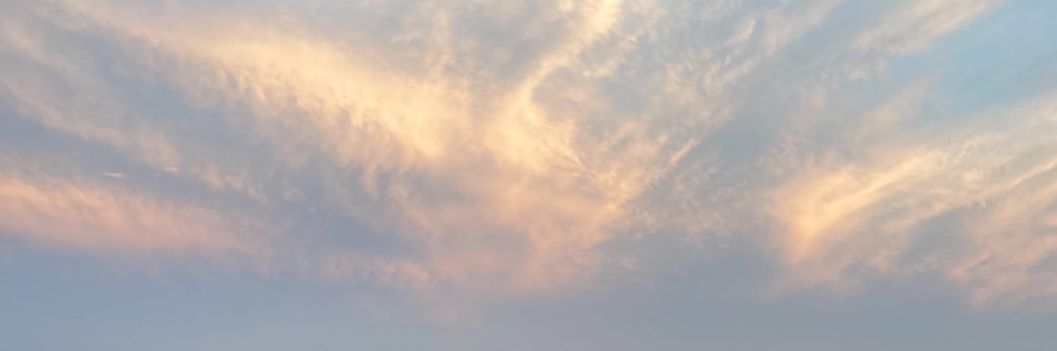Ozlem_De's profile banner image