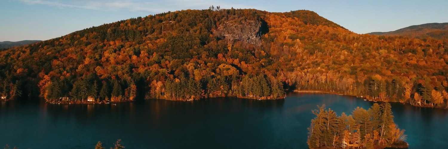 wilfonglib's profile banner image