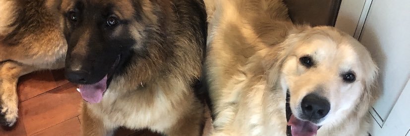 Meg Bulger 1/21/24 banner