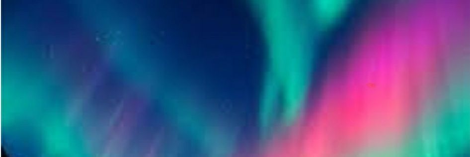 PinkDahlia_'s profile banner image