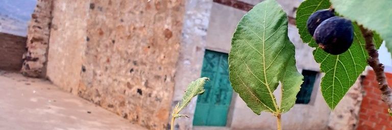 3sheerr's profile banner image