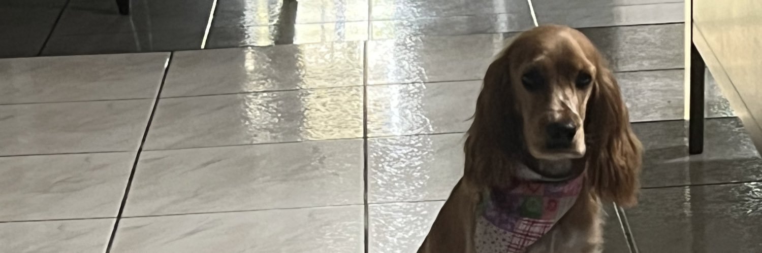 marialemus_'s profile banner image