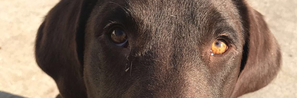 katbarrowww's profile banner image