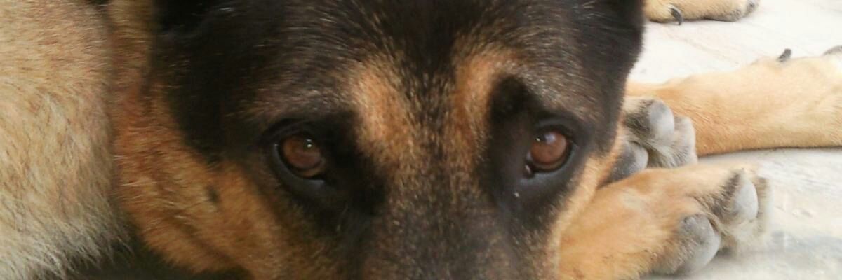 Batano_21's profile banner image