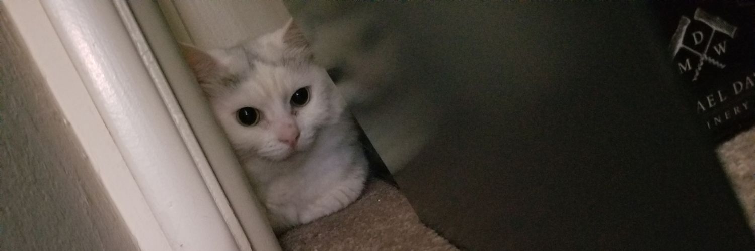 Tomfoolly's profile banner image