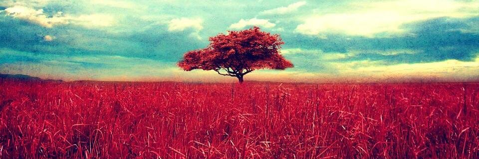 koke_huerta's profile banner image