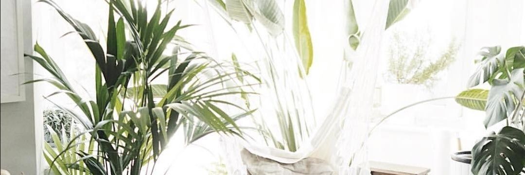 Marjorie_Rami's profile banner image