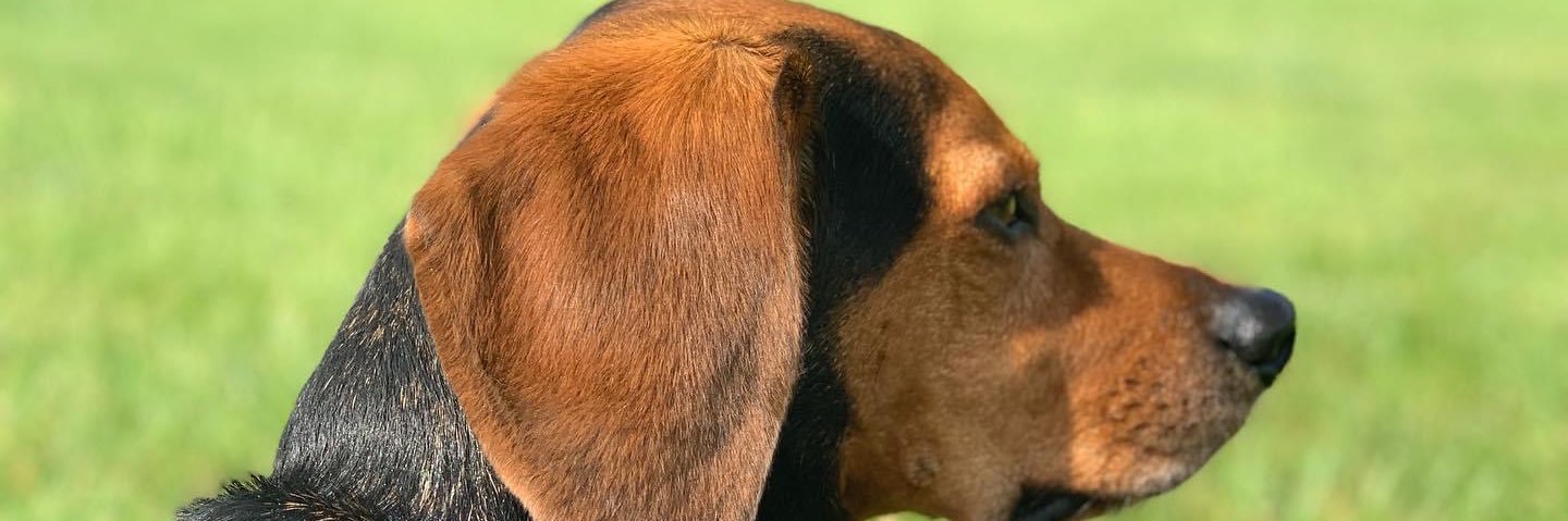 Derek Caldwell banner