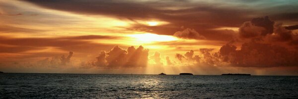 msbron1 Profile Banner