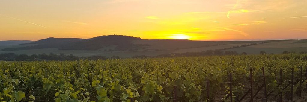 Helene_Landais's profile banner image