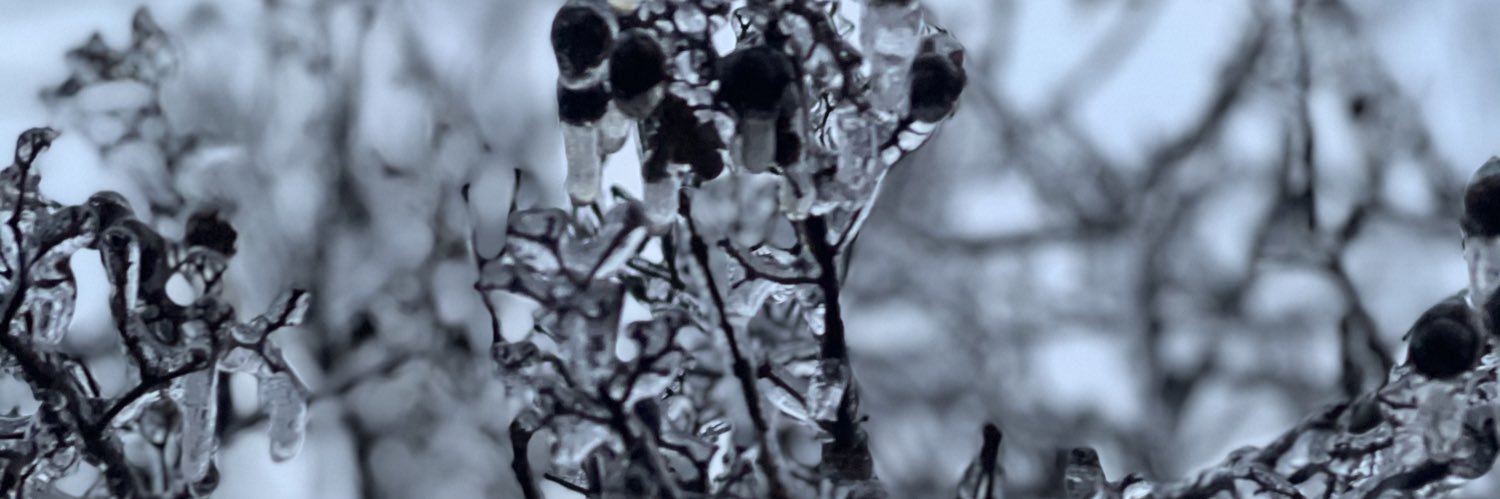 Esuris__'s profile banner image