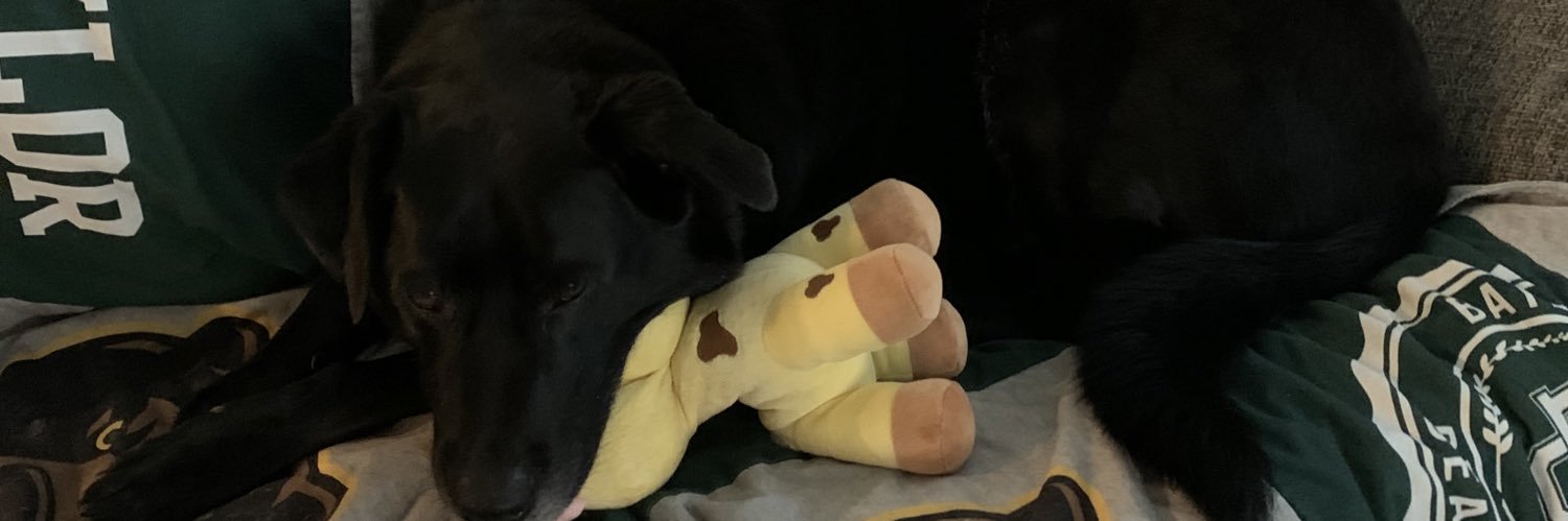 griffineicher's profile banner image
