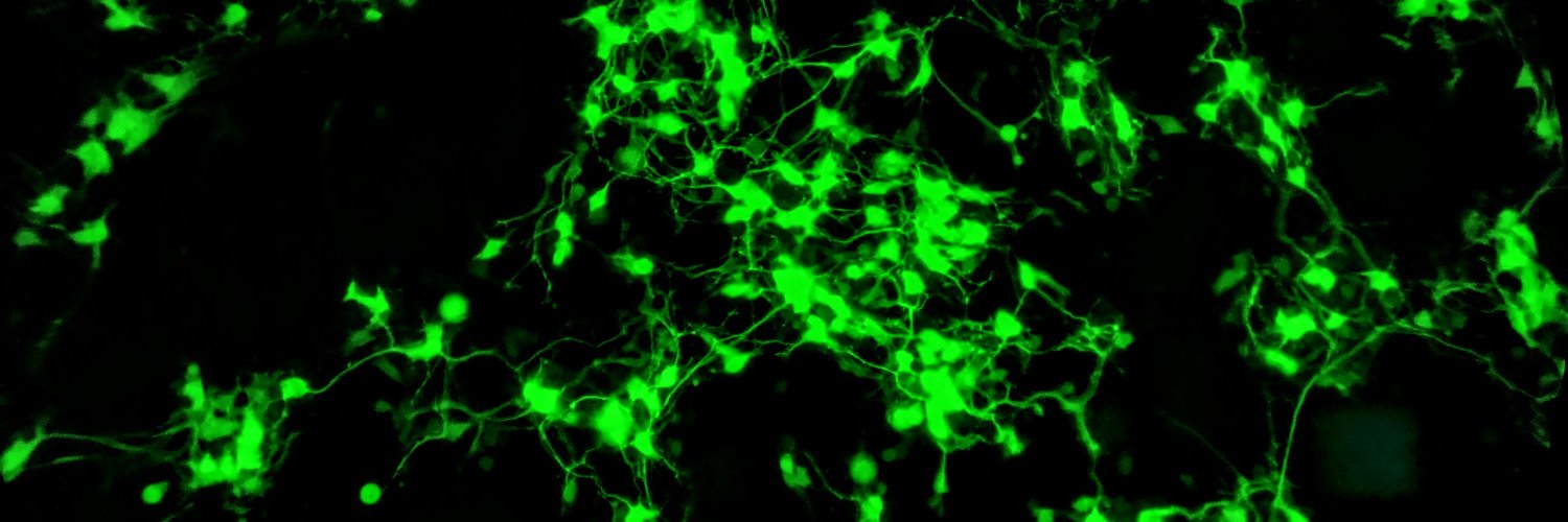 Austin Passaro, PhD banner