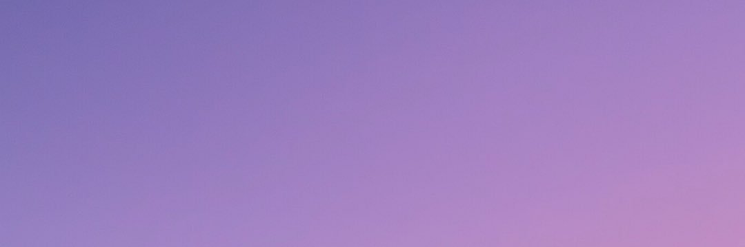 Elizabeth Moore banner