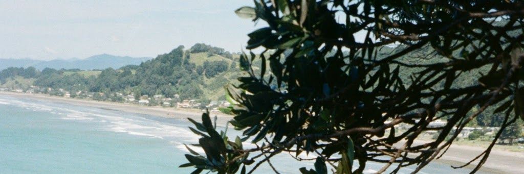 Vayda_N's profile banner image