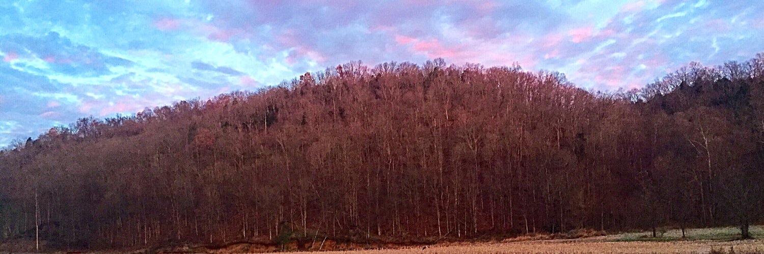 EvynTKemper's profile banner image