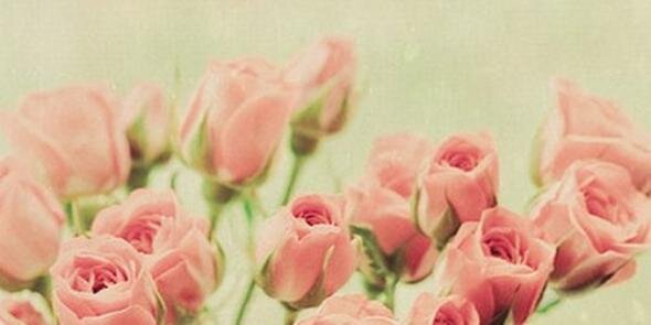 ciipraatt's profile banner image