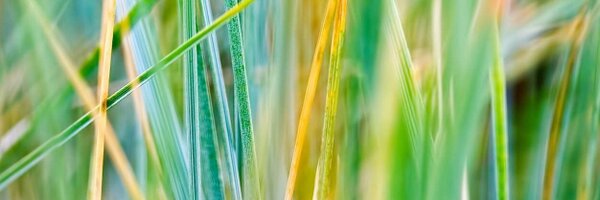big605 Profile Banner