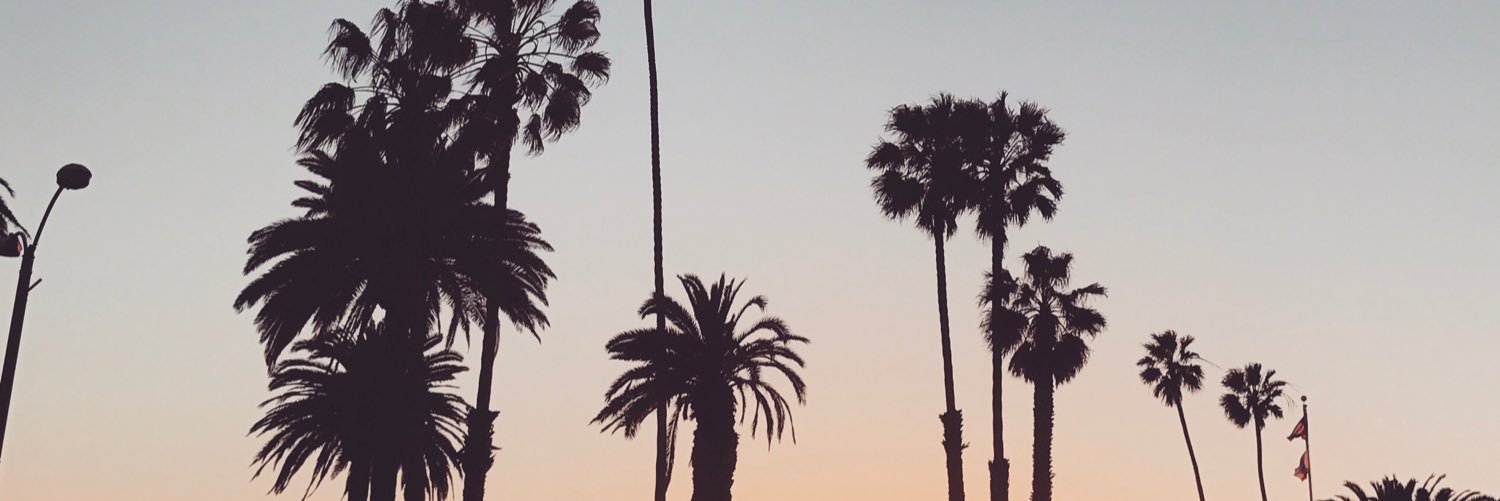 camillastones's profile banner image
