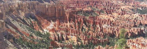 J0Nelson Profile Banner