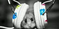 Saad_ MZ banner