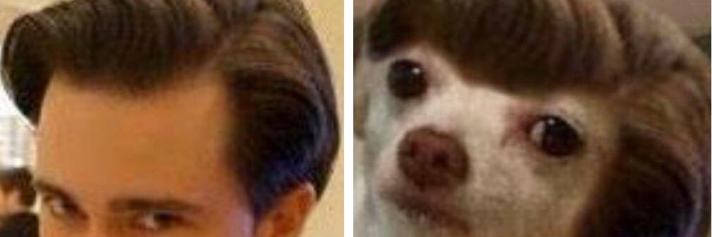 CDogCarter13's profile banner image