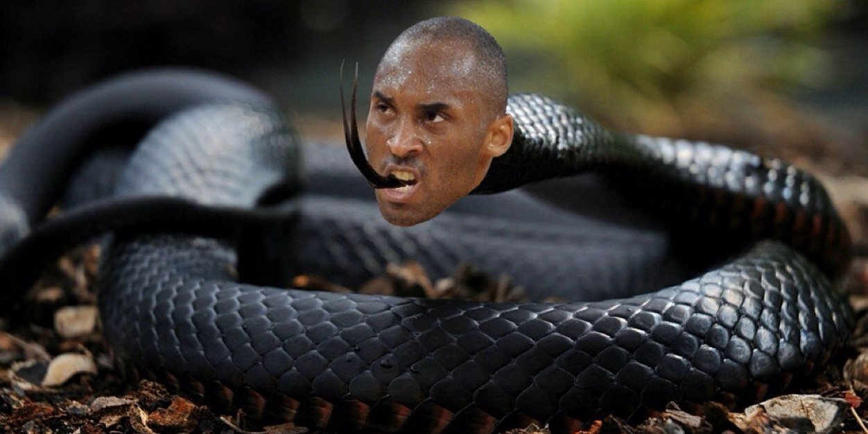 Sha'Kobe O'Bryant banner