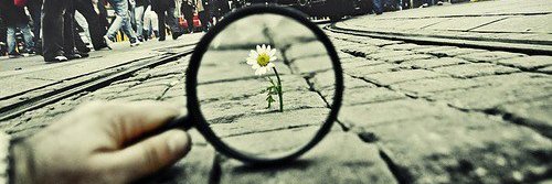 المستقبل المشرق banner