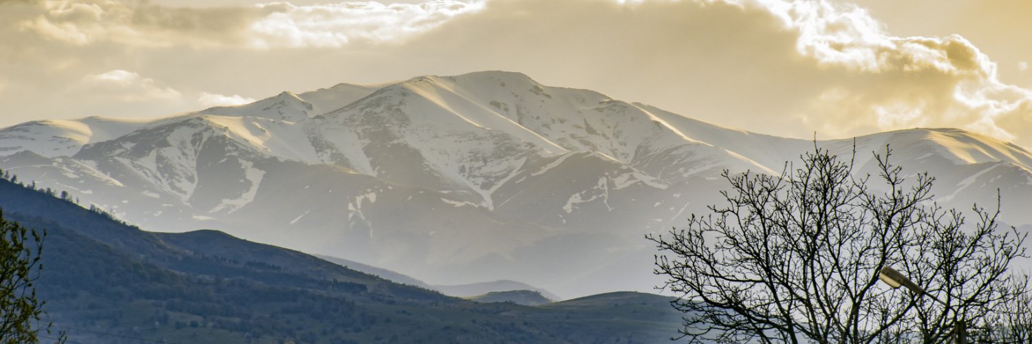 Ile Castellanos banner