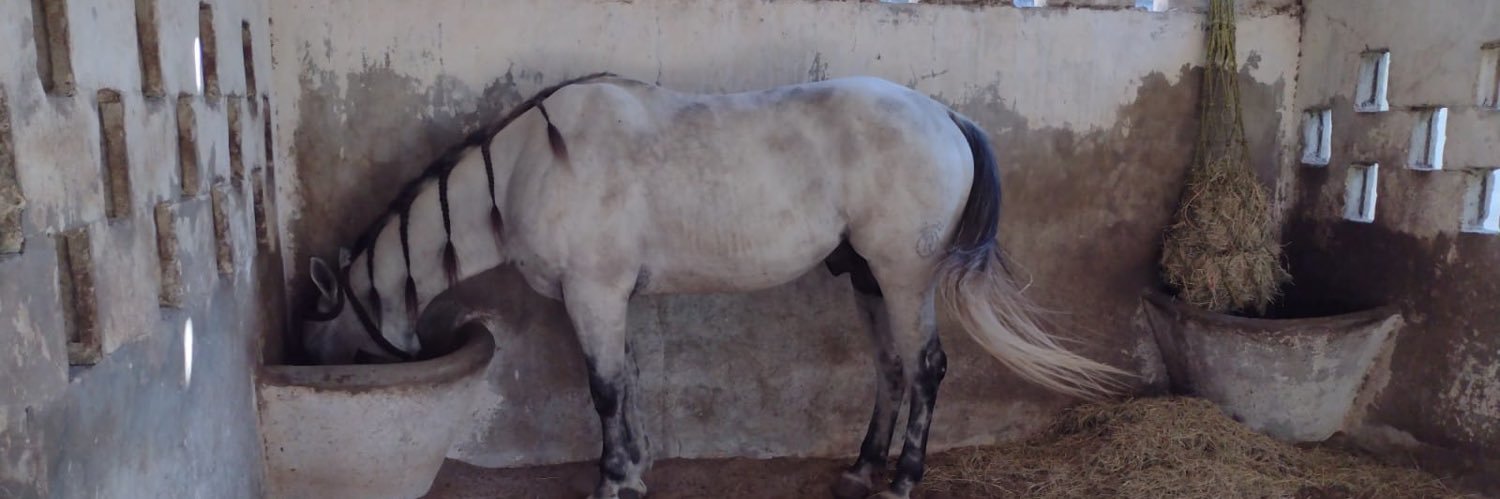 Jorge Arturo Castillo banner