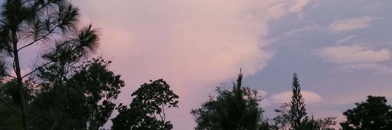 Fjr27Ptr's profile banner image