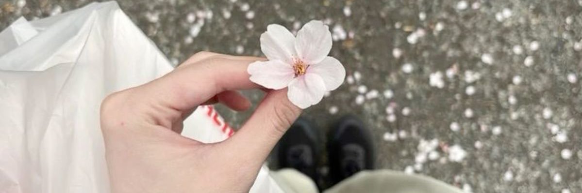 anto #bangchella banner