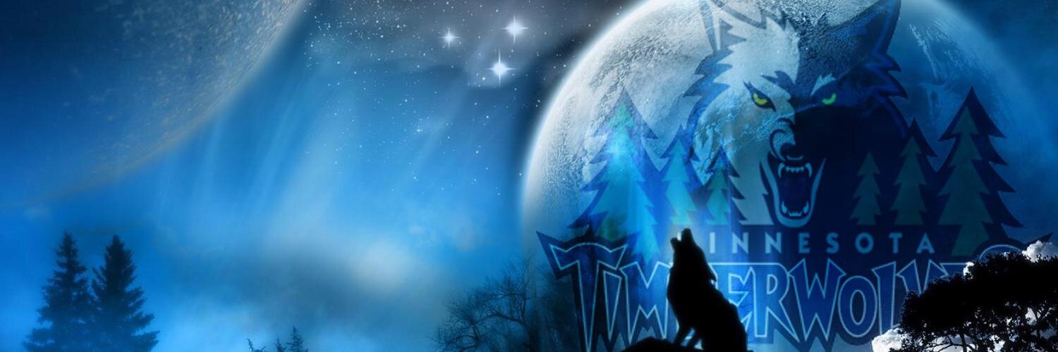 Minnesota Twolves banner