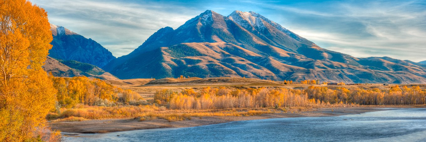 Christina Koningisor banner