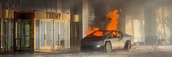 Phrog Pal 🐀 banner