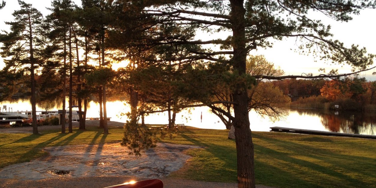 Colm O'Callaghan banner