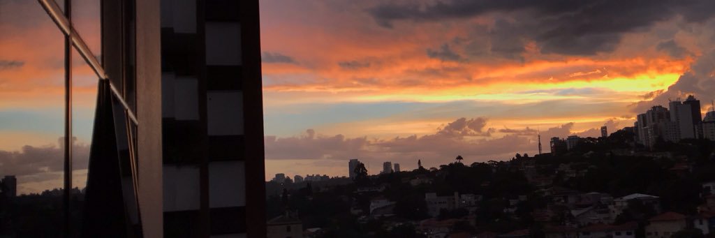 Ninamcav's profile banner image