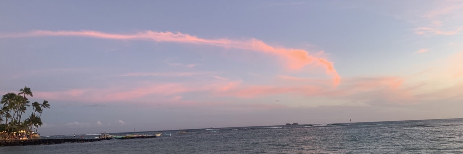 OhSoMetzy's profile banner image