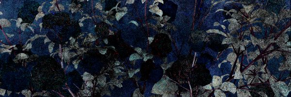 upp_only Profile Banner