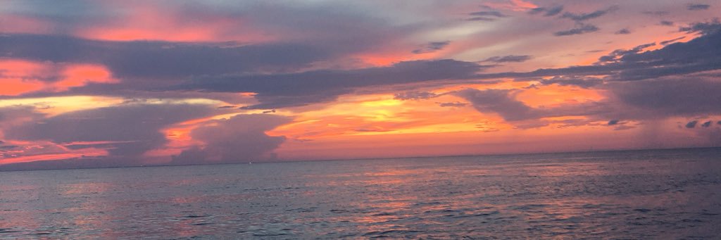 Kt_Hudson_'s profile banner image